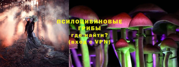 хмурый Арсеньев