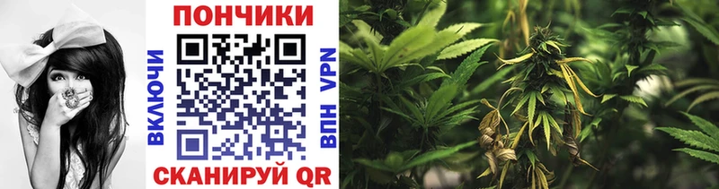 MEGA ТОР  Агидель  Бошки Шишки Amnesia 
